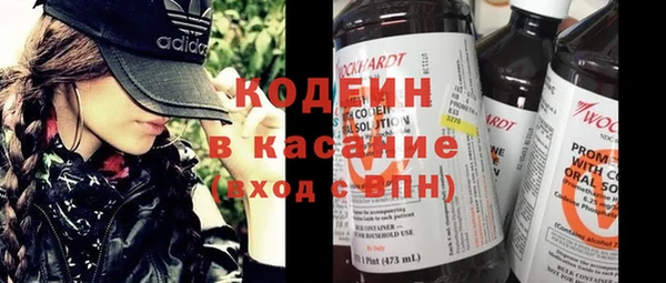 молекула духа Тында